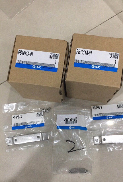 PB1011A-01.jpg